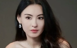 Sự thật khiến Trương Bá Chi bật khóc tại tòa