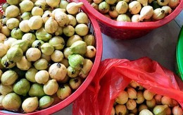 Quả quen mặt ở chợ Việt lọt top "chống oxy hóa tốt nhất thế giới", không mua phí của trời