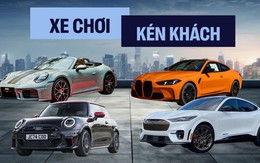 8 ‘xe chơi’ về Việt Nam 2025: Không phải siêu xe nhưng đắt, kén khách nhưng khó làm ngơ