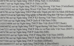 Người từng giao dịch với 27 tài khoản ngân hàng mở tại Agribank, Vietcombank, VietinBank, BIDV, MB, Techcombank... sau đây khẩn trương báo công an