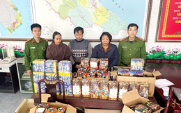 Bắt tạm giam Lê Thị Hoài Phương