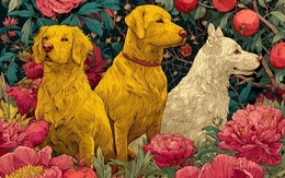 Ngày 3/12, ba con giáp trúng “combo” vận đỏ, mở mắt ra đã thấy tiền, tình và công việc rủ nhau thăng hạng.