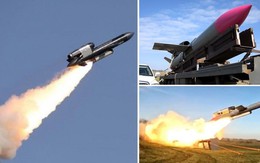 Nga loại bỏ kỹ sư phát triển tên lửa Flamingo?