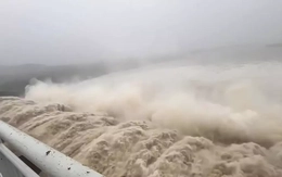 Hé lộ việc làm ăn của Công ty Thủy điện sông Ba Hạ