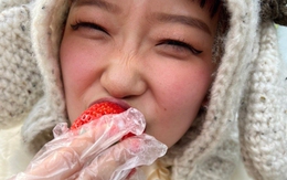 7 loại quả phổi rất "YÊU", cực giàu vitamin C phòng bệnh: Mùa lạnh nhất định phải ăn!