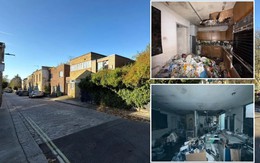 Cảnh tượng khó tin bên trong ngôi nhà hoang đổ nát, giá hơn 34 tỷ đồng