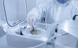 Trung Quốc vượt mặt Elon Musk: Người đàn ông bại liệt điều khiển robot và đi làm lại bằng ý nghĩ