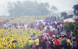 Nơi được quan tâm nhất lúc này ở Nghệ An: Cảnh như nước ngoài, mở cửa miễn phí nhưng có lưu ý đặc biệt