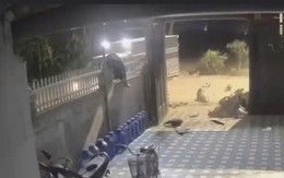 VIDEO: Tông vào xe tải, nam thanh niên đi trên xe máy bị hất văng lên hàng rào nhà ven đường