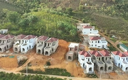 Đất vi phạm trước 1/7/2014 có thể được xem xét cấp sổ đỏ