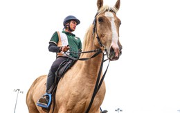 Bên trong nơi nuôi dưỡng giống ngựa triệu đô hiếm bậc nhất thế giới tại Việt Nam