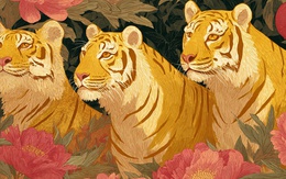 Cảnh báo sớm 2026: Điểm mặt những "hung tinh" rình rập 12 con giáp và lời khuyên gan ruột để chuyển bại thành thắng, ai cũng cần biết để bình an