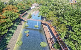 Chính thức khởi công dự án hơn 4.600 tỷ dài 13 km, Hà Nội thực hiện trách nhiệm với lịch sử