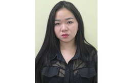 Dương Thị Hoàng Yến bị bắt