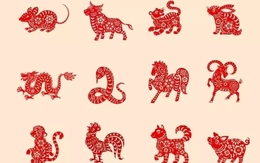 Tử vi ngày mới 24/12: 4 con giáp có cát tinh trợ giúp, vận trình hanh thông, tài lộc rực rỡ