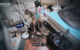 Rúng động Hàn Quốc: Chồng quân nhân bỏ mặc vợ nguy kịch suốt nhiều ngày, thi thể được phát hiện trong tình trạng ám ảnh