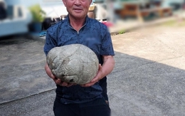 Ông lão nông dân nhặt được kho báu tiền tỷ khi đi cắt cỏ