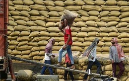 Việt Nam, Thái Lan chú ý: Quốc gia sản xuất gạo lớn thứ 3 thế giới tuyên bố quay lại nhập khẩu từ Ấn Độ, giá rẻ chưa từng thấy