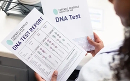 Đồng nghiệp của vợ bất ngờ gọi điện “đòi con”, chồng quyết định xét nghiệm ADN, sự thật được hé lộ