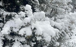 Nơi vừa có tuyết rơi hiếm có sau gần 20 năm!