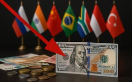 'Tay chơi mới' đến từ ASEAN: Vào BRICS chưa đầy năm, phân bổ ngay 1 tỷ USD