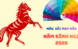 Màu sắc may mắn của năm Bính Ngọ 2026 là màu gì?