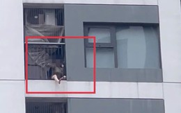 Bức ảnh chụp lô gia căn hộ chung cư khiến nhiều người giật mình thắc mắc: Sao có thể như vậy?