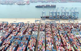 Việt Nam vừa lập một kỷ lục chưa từng có với một mặt hàng nhập khẩu