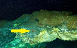 Phát hiện bí mật chưa từng có dưới đáy biển sâu 3.640m ở Greenland