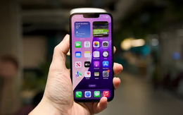 Kỳ lạ mẫu iPhone bị người Việt "bỏ rơi": Mới ra mắt vài tháng giá đã giảm 5 triệu, vậy mà vẫn không ai mua!