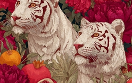 Tử vi ngày mới 4/12: 3 con giáp tài lộc ùn ùn, tiền bạc căng đét, tình yêu gõ cửa 2 con giáp sau nhiều ngày "đắp chiếu"