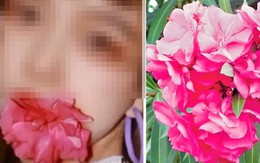 Bốn loại 'hoa xui xẻo' nhưng nhiều người bỏ tiền mua