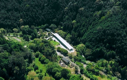 Đôi vợ chồng chi hơn 12 tỷ đồng mua mảnh đất 16.000m2 để nghỉ hưu sớm: “1 năm sau tôi phải quay lại thành phố, mọi thứ khác xa tưởng tượng”