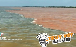 "Giải mã" hiện tượng nước có màu xanh và nâu đỏ ở ven biển Cà Mau