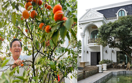 Cơ ngơi 1.000m2 của nam NSƯT mang quân hàm Thượng tá, U70 sống bình yên bên cô công nhân xưởng may