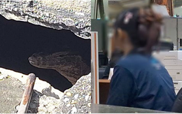 Rúng động Thái Lan: Phát hiện thi thể bé gái sơ sinh bị kỳ đà cắn, lời khai của mẹ 19 tuổi khiến ai nghe cũng lạnh gáy