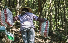 Nổi tiếng là "cường quốc" về drone, thế nhưng sự thật ở một khu du lịch tại Trung Quốc lại chẳng như mơ?