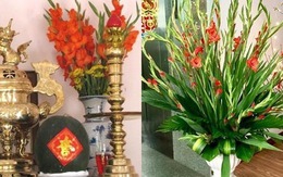 Hoa thắp hương: 7 loại mang ý nghĩa may mắn, 5 loại KHÔNG nên đặt