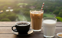 Gan nhiễm mỡ lui bước nhờ 2 thức uống quen thuộc với người Việt