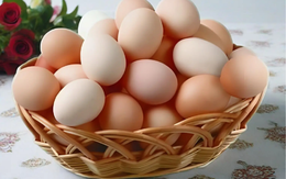 Trứng gà màu trắng và màu nâu loại nào tốt hơn?