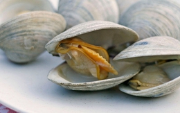 4 thực phẩm dễ tích tụ cả "mỏ kim loại nặng", độc tính mạnh gấp nhiều lần thủy ngân