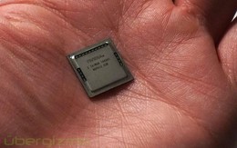 Mua bán trái phép thứ chỉ nằm gọn trong lòng bàn tay, 2 trung niên bị bắt