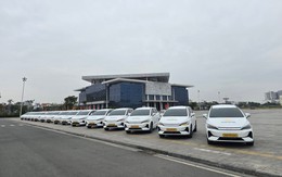 Một doanh nghiệp vận tải mua 50 ô tô điện của BYD để chạy tuyến Hà Nội - Hải Dương