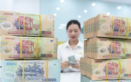 Lãi 81.000 tỷ đồng trong quý 4, lợi nhuận các ngân hàng trên sàn chứng khoán đến từ đâu?