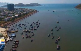 Các siêu tàu biển quốc tế đến Việt Nam