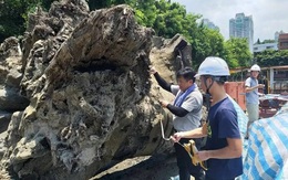 Công trường dừng thi công gấp vì máy xúc đào trúng vật thể dài 40m, tỏa mùi hương: Chuyên gia khẳng định báu vật hiếm có 3.000 năm tuổi