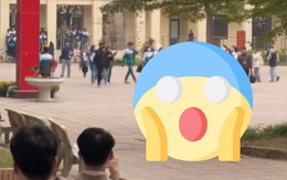"Vị khách không mời" bất ngờ xuất hiện trong khuôn viên trường, đuổi học sinh chạy tán loạn: Kiểm tra ngay sĩ số lớp!