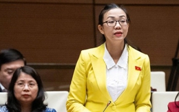 “Làm điện hạt nhân, Việt Nam không phải bắt đầu từ con số 0”