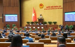 Quy định 2 trường hợp tạm đình chỉ nhiệm vụ, quyền hạn của đại biểu Quốc hội