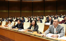 Bị xử lý kỷ luật, đại biểu Quốc hội có thể xin thôi làm nhiệm vụ